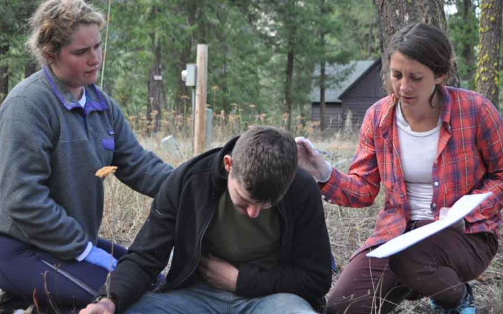 a group of students training for a wilderness first aid certificate 